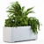 Tropical Gray Plants Box 3D model small image 2