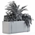 Tropical Gray Plants Box 3D model small image 5