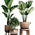 Exotic Indoor Plant Collection 3D model small image 4