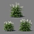Aruncus Dioicus Flowers - Stunning and Lifelike 3D model small image 3