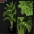 Exquisite 259 Plant Collection 3D model small image 1