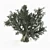 Lifelike Olive Tree 3D model small image 1
