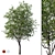 Realistic Cherry Tree Model 3D model small image 1