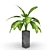 Exquisite Dieffenbachia: Polys 124,282 3D model small image 2