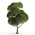Natural Ash Tree Beads 3D model small image 1