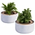 Concrete Round Planter with Plants 3D model small image 1