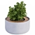 Concrete Round Planter with Plants 3D model small image 3