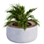Concrete Round Planter with Plants 3D model small image 4