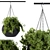 Black Pot Hanging Plant 3D model small image 2