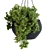 Black Pot Hanging Plant 3D model small image 4