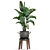 Exotic Houseplant Collection 3D model small image 3