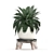 Exotic Houseplant Collection 3D model small image 4