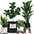 Exotic Indoor Plant Collection 3D model small image 1