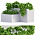 Strawberry Plant Box: Fresh Outdoor Delights 3D model small image 2