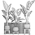 Exotic Houseplant Collection 3D model small image 5