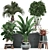 Exotic Plant Collection: Banana Palm, Ravenala, Strelitzia 3D model small image 1