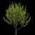 Tree 5-in-1 - 313K polys, 426K verts. Versatile and High-Quality Tree Model 3D model small image 1