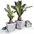 Modern Palm Planters: Stylish and Versatile 3D model small image 1