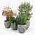 Modern Knisely Pot Planter Set 3D model small image 2