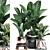 Exotic Houseplants Collection 3D model small image 1