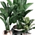Exotic Houseplants Collection 3D model small image 2