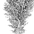 Realistic Populus Alba Tree Model 3D model small image 5