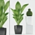 Cactus & Ti Plant in Ceramic Pot 3D model small image 1