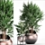 Exotic Houseplant Collection 3D model small image 1