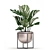 Exotic Houseplant Collection 3D model small image 3