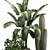 Exotic Houseplant Collection 3D model small image 2