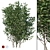 Luscious Cherry Bush Replica 3D model small image 1