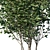 Luscious Cherry Bush Replica 3D model small image 2