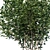 Luscious Cherry Bush Replica 3D model small image 3