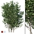 Luscious Cherry Bush Replica 3D model small image 6