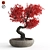 Crimson Beauty: Stunning Red Bonsai 3D model small image 1