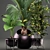 Exotic Plant Collection 3D model small image 2