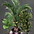 Exotic Plant Collection 3D model small image 4