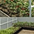  MaxGrow Greenhouse V1: 606x295x205 cm 3D model small image 3