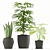 Tropical Plant Trio: Rhapis Palm, Alocasia & Sansevieria Zeylanica 3D model small image 2