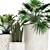 Exotic Plant Collection - Scandinavian Style 3D model small image 4