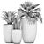 Exotic Plant Collection - Scandinavian Style 3D model small image 5