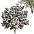 Elegant Ash Tree - Natural Beauty 3D model small image 2
