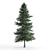 Alaska Cedar - Beautiful Evergreen Tree 3D model small image 1