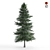 Alaska Cedar - Beautiful Evergreen Tree 3D model small image 2