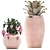 Exotic Plant Collection in Pink Baskets 3D model small image 4