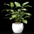 Indoor Plant Collection Set 3D model small image 2