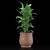 Indoor Plant Collection Set 3D model small image 3