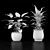 Indoor Plant Collection Set 3D model small image 4