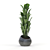 Green Oasis: Indoor Plant Collection 3D model small image 1