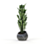 Green Oasis: Indoor Plant Collection 3D model small image 2
